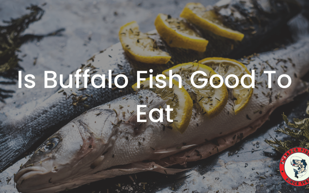 Is Buffalo Fish Good To Eat?